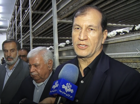 دزفول، میزبان جشنواره تولید مرکبات سالم دزفول، میزبان جشنواره تولید مرکبات سالم