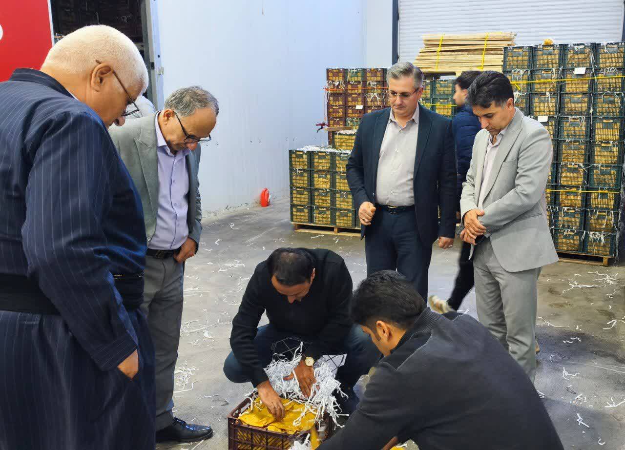 بازدید معاون فنی و بازرگانی سازمان مرکزی تعاون روستائی از سردخانههای نقده و اشنویه بازدید معاون فنی و بازرگانی سازمان مرکزی تعاون روستائی از سردخانههای نقده و اشنویه