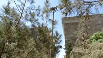 مشکل آنتن دهی تلفن همراه در شهرک شهید اردستانی پیشوا