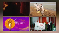 مستند «رقص خون» در خبرهای رسانه