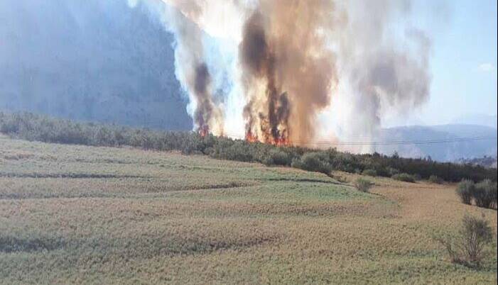 مهار آتش سوزی در منطقه شیمبار