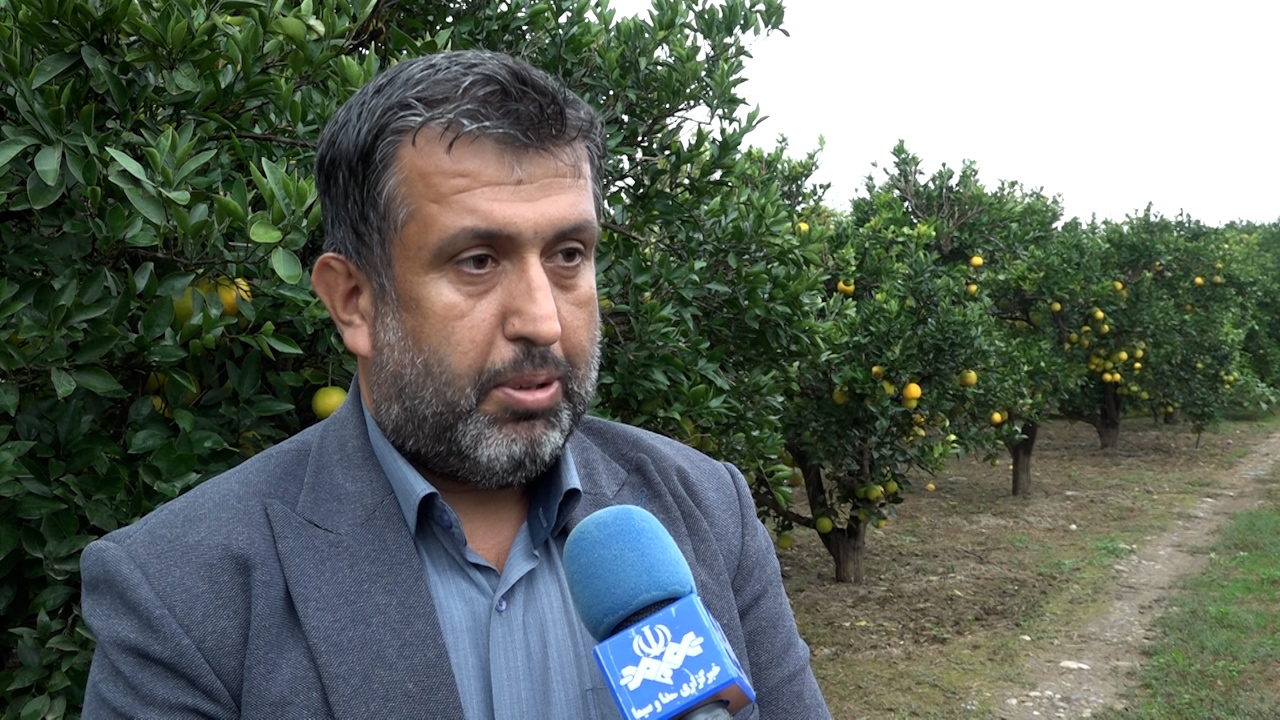 باران امید در مازندران باران امید در مازندران