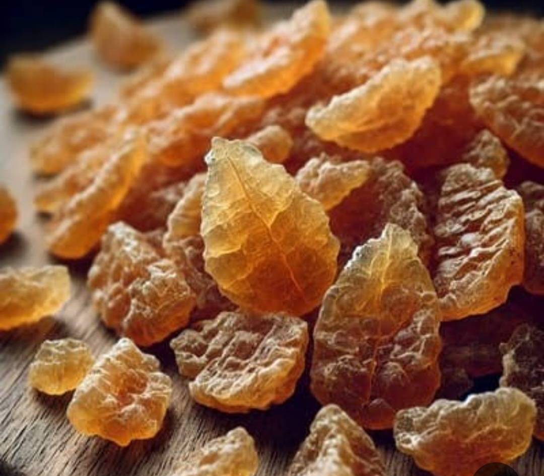 کشف شیره گياهان دارويی آنغوزه در کوهسرخ کشف شیره گياهان دارويی آنغوزه در کوهسرخ