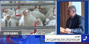 مرغِ گران، مدیریتِ نایاب