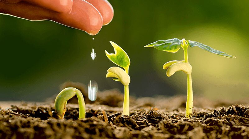 روز جهانی خاک فرصتی برای بازاندیشی در شیوههای تعامل ما با زمین روز جهانی خاک فرصتی برای بازاندیشی در شیوههای تعامل ما با زمین