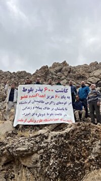  کاشت ۶۰۰ بذر بلوط در دامنه‌های طاق‌بستان به یاد ۶۰ اهداکننده عضو استان کرمانشاه