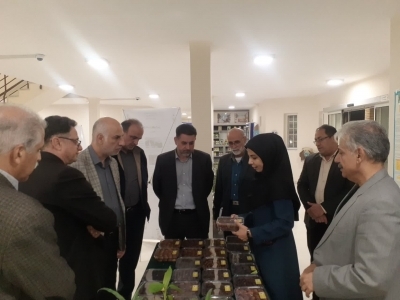 تأکید بر ضرورت پیوند بین بخشهای تحقیقاتی و مراکز فنی و اجرایی تأکید بر ضرورت پیوند بین بخشهای تحقیقاتی و مراکز فنی و اجرایی