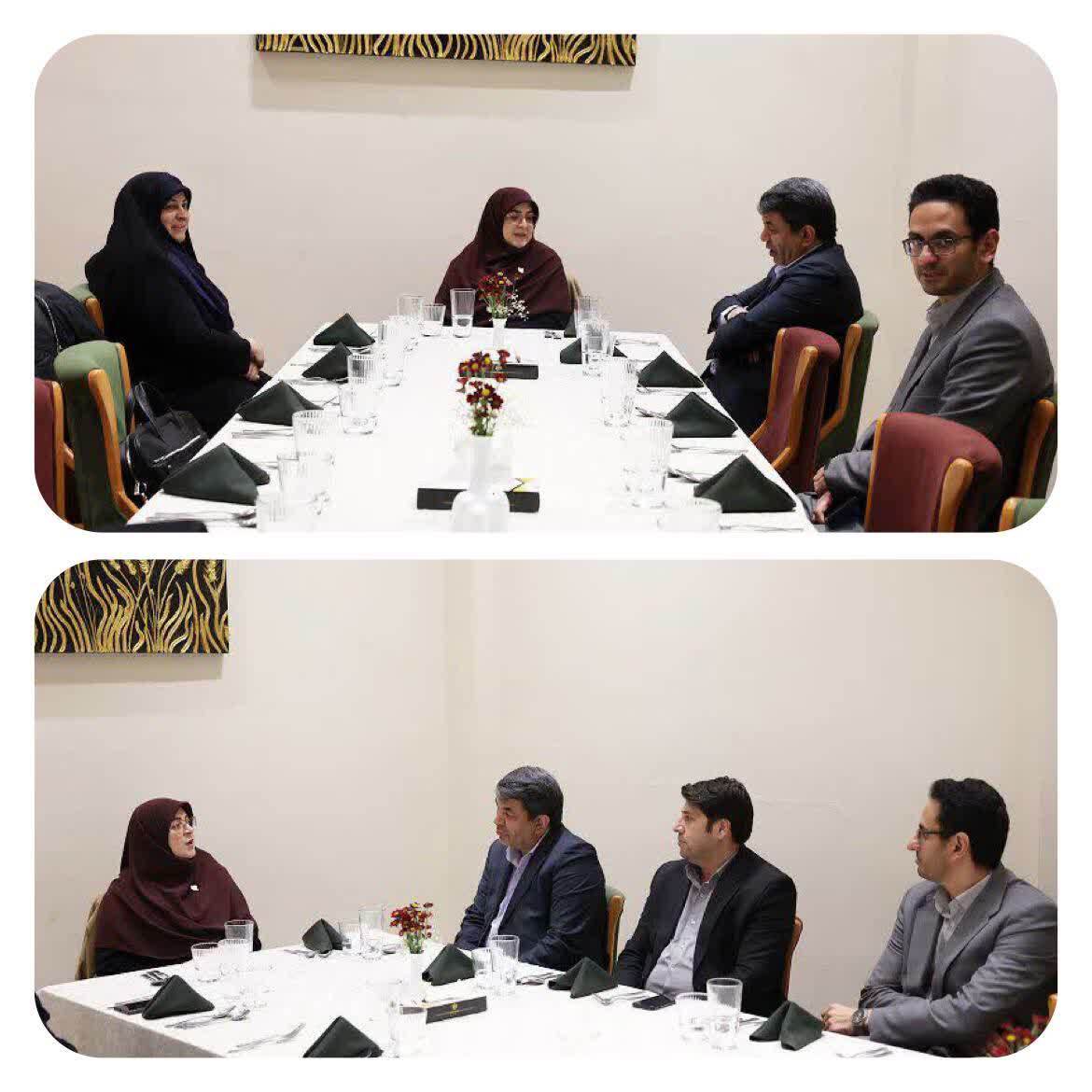 ورود سخنگوی دولت به کرمان