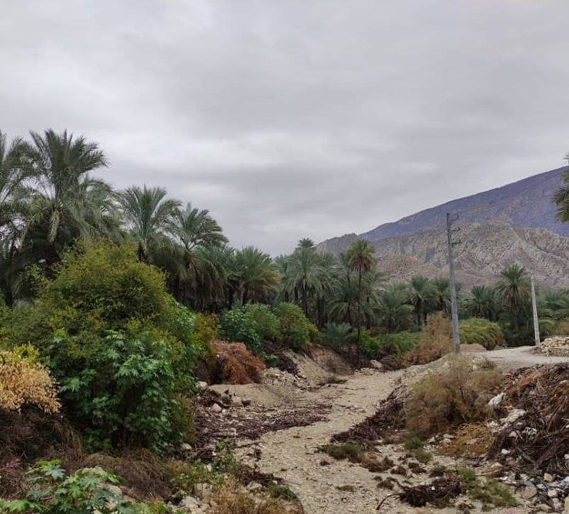 ورود سامانه بارشی به استان بوشهر