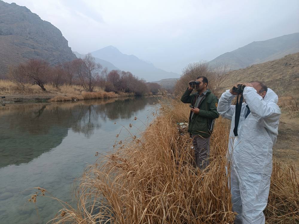 پایش مستمر زیستگاه‌های آبی ارومیه برای پیشگیری از آنفلوآنزای فوق‌حاد پرندگان‌
