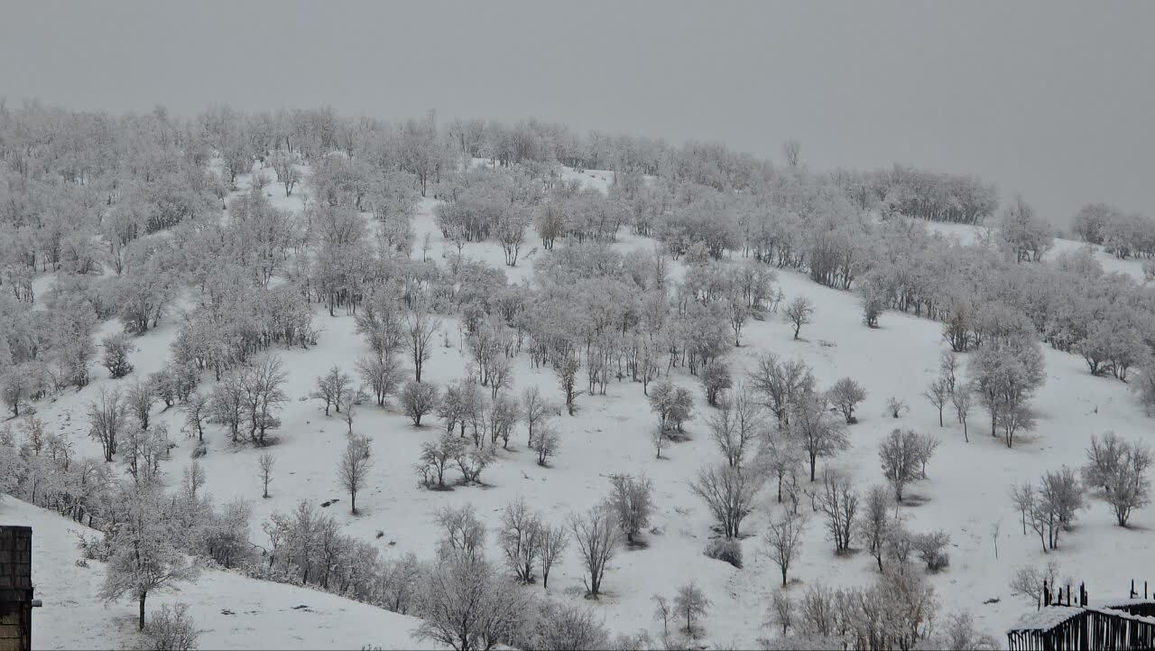زمستان به سردشت برگشت برف ۱۲ سانتی‌متری شهر را زیباتر کرد