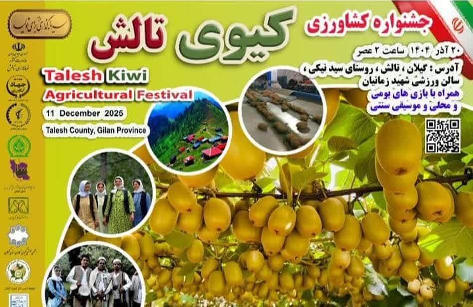 جشنواره شکرانه برداشت کیوی در تالش