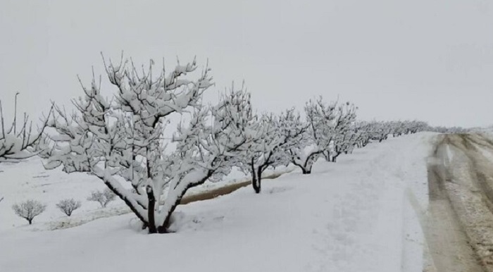 تشدید بارشها در آذربایجان غربی تشدید بارشها در آذربایجان غربی
