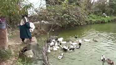 روایت مادری که با تلاش خستگی را خسته کرد