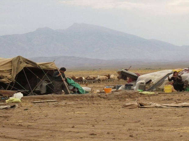 سیلاب، بخش عشایری ایلام را متضرر کرد