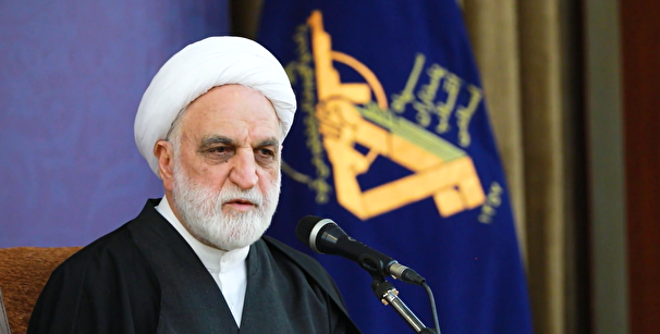 اژه ای: سرنوشت پرونده‌های قاچاق سوخت به زودی نهایی می شود