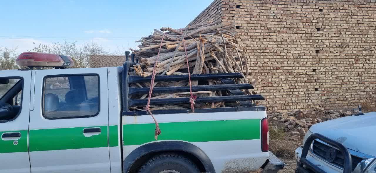 کشف ۷۰۰ کیلوگرم چوب تاغ قاچاق در آران و بیدگل