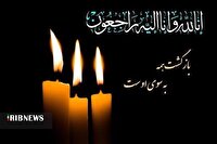 درگذشت مادر شهید والامقام «مرادعلی نیازی» در رومشکان
