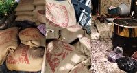 محل دپوی قهوه قاچاق و غیراستاندارد لو رفت
