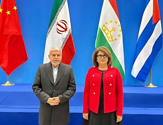 تاکید بر ظرفیت‌های تمدنی و تاریخی ایران و تاجیکستان