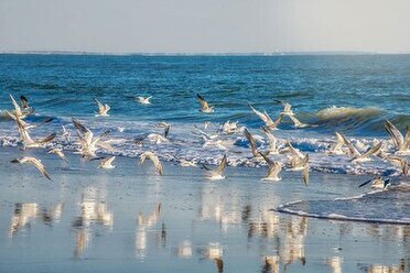 پیش بینی وضعیت جوی، دریایی ودمایی هرمزگان ۶ آذر