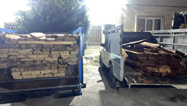 قاچاق چوب در پوشش واحد صنعتی