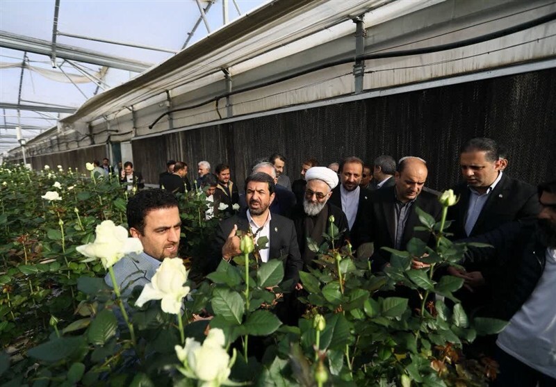 افتتاح بزرگترین گلخانه هیدروپونیک صادراتی کشور در نهاوند افتتاح بزرگترین گلخانه هیدروپونیک صادراتی کشور در نهاوند