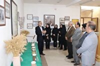 صیانت از امنیت غذایی کشور با کمک مراکز تحقیقات کشاورزی