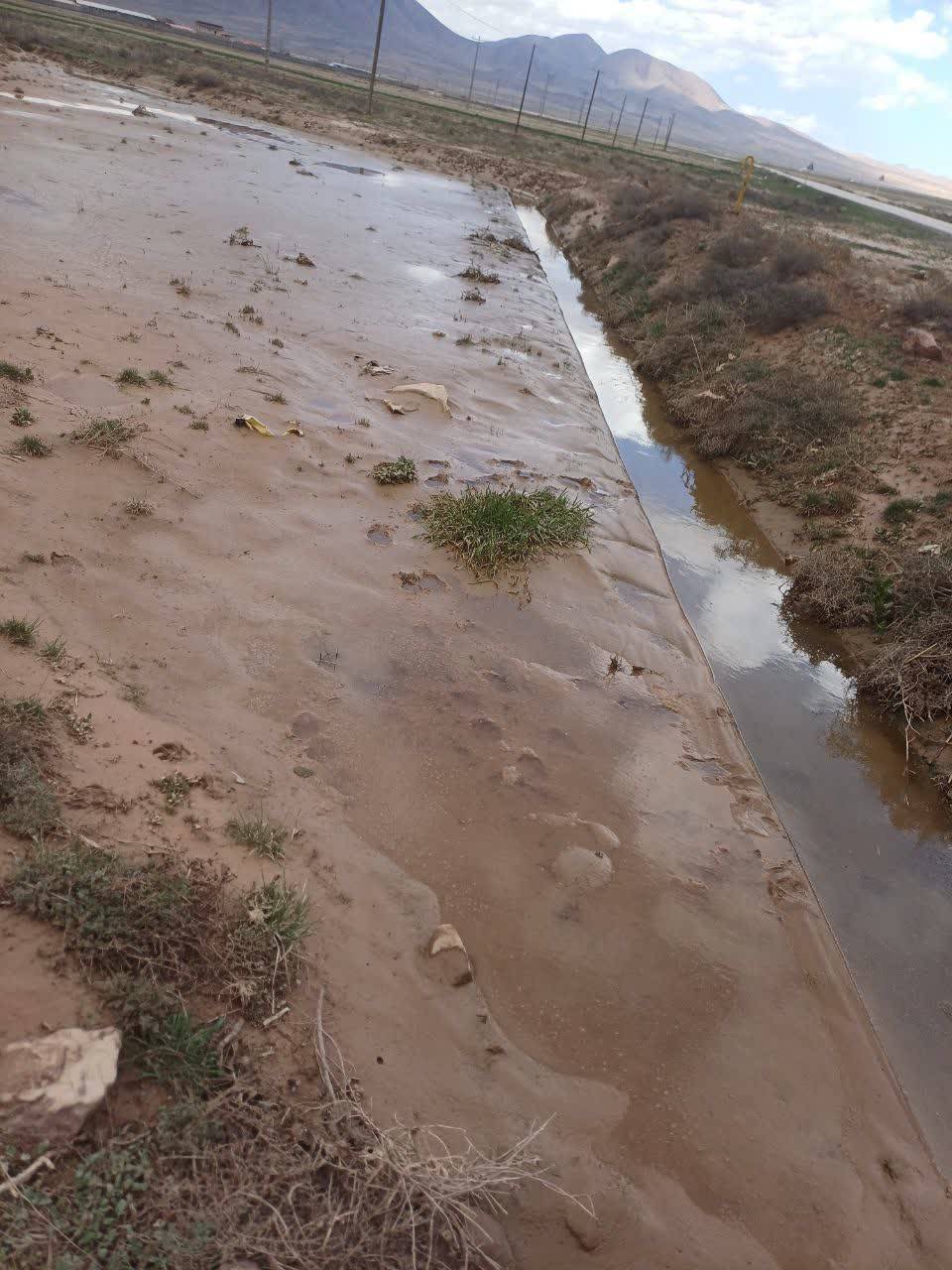 خسارت ۱۱۵ میلیارد تومانی سیل و سرمازدگی در نیشابور