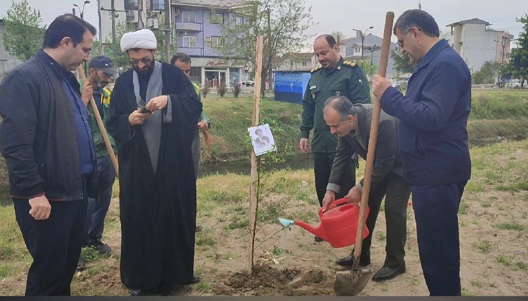کاشت درختان مثمر به نیابت از شهدای جنگ تحمیلی سوم در آستانه اشرفیه