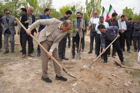 غرس ۱۶۸ اصله نهال به نام شهدای میناب و کودکان جنگ‌های تحمیلی