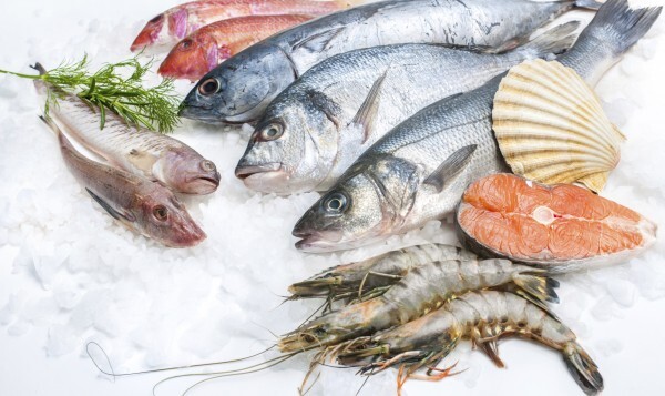 صادرات ۴ هزار و ۵۰۰ تن انواع آبزیان در ایام جنگ تحمیلی سوم