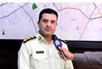 فونیکس سرقتی در کرمان کشف شد