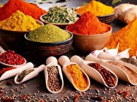 توقیف محموله ادویه  غیر بهداشتی در گرمسار