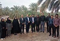 ساماندهی ورودی روستا‌های شهرستان بم