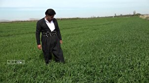 نگارستان سبز ۴۵ هزار هکتاری