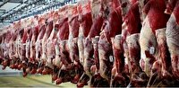 آغاز ثبت سفارش واردات گوشت منجمد از امروز