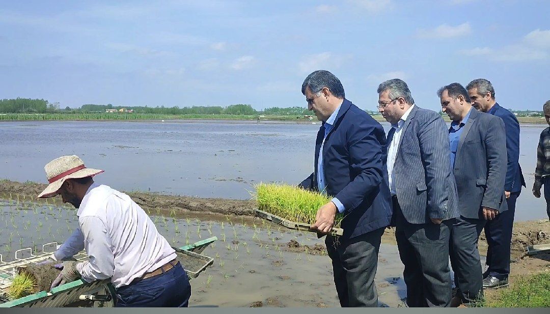 نخستین نشاء ماشینی برنج در دهسر کیاشهر