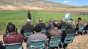 میراثی که با علم سبز می‌شود