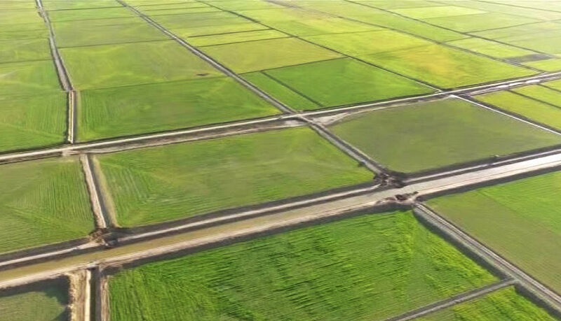 نقش کلیدی نقشه‌برداری نوین در حل مشکل تداخلات ارضی