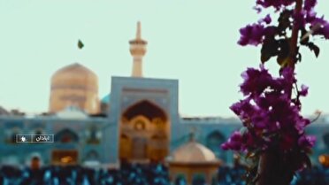 روز ولادت امام رضا (ع)، روز میزبانی این رئوف مهربان از خادمان خالص