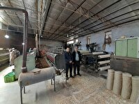 راه اندازی زنجیره تولید فرش دستبافت در استان