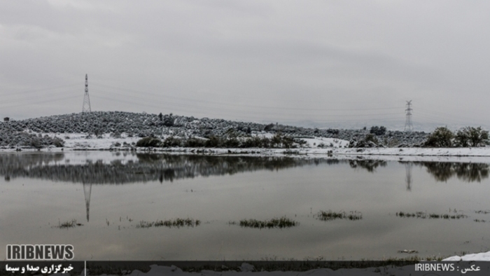 عکس:جواد مظفری سوادکوهی