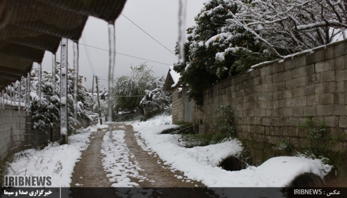 عکس:جواد مظفری سوادکوهی