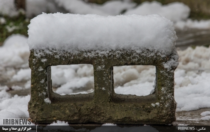 عکس:جواد مظفری سوادکوهی