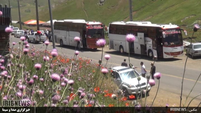 دشت زیبای شقایق 27 کیلومتری جاده خلخال به اسالم