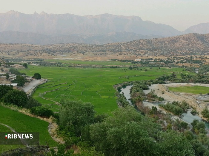 طبیعت بهاری سد و شالیزارهای چیتاب در شهرستان دنا