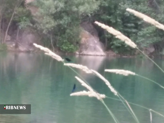 طبیعت بهاری سد و شالیزارهای چیتاب در شهرستان دنا