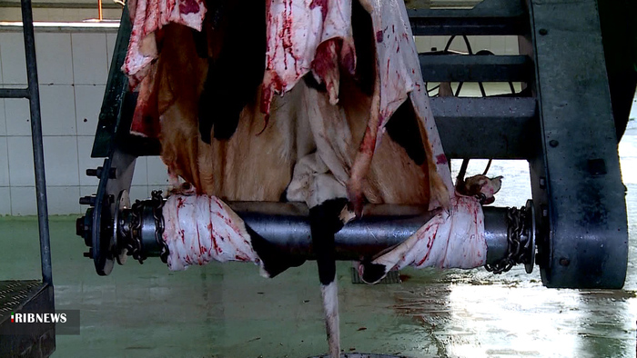 پوست خام در دباغ خانه