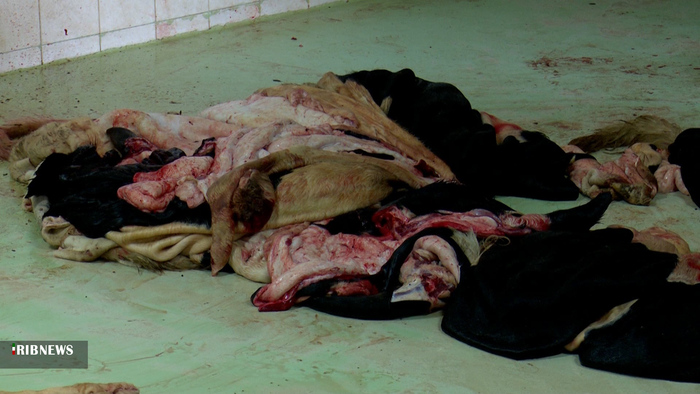 پوست خام در دباغ خانه